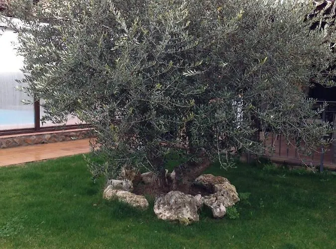 Casa Rio Alberche Y El Cortijo De Gredos Navaluenga
